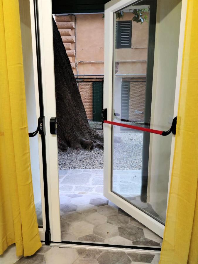 La Tana Della Tartaruga Apartment *